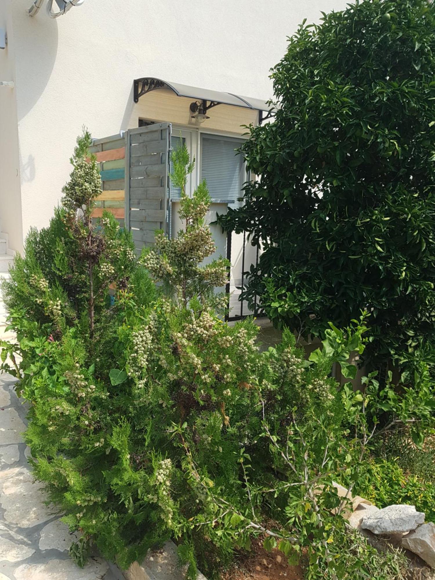 Hamo Apartments & Soba 룸바르다 외부 사진